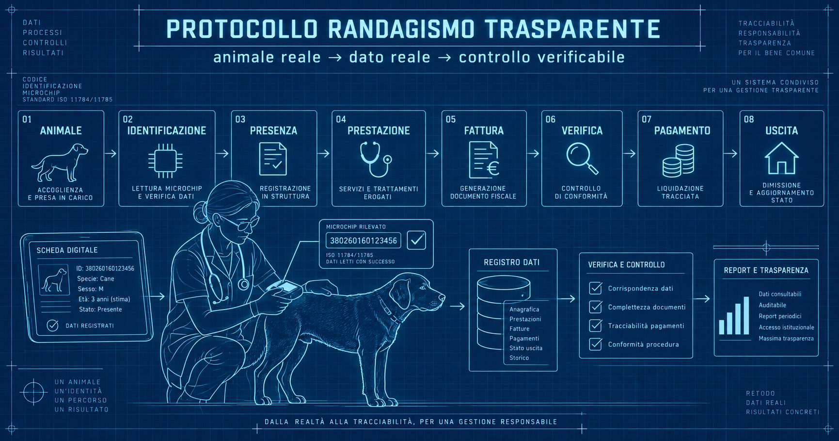 Controllo del microchip e riconciliazione dei dati nel Protocollo Randagismo Trasparente